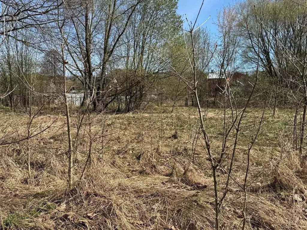 Участок в Московская область, Богородский городской округ, д. ... - Фото 1