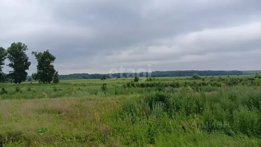 Участок в Башкортостан, Уфимский район, Булгаковский сельсовет, д. ... - Фото 1