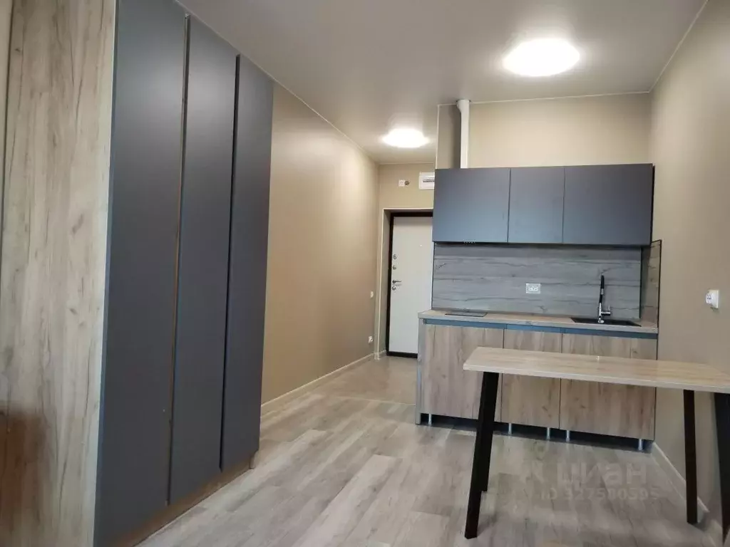 Студия Хабаровский край, Хабаровск ул. Алексеевская, 64/2 (21.5 м) - Фото 2