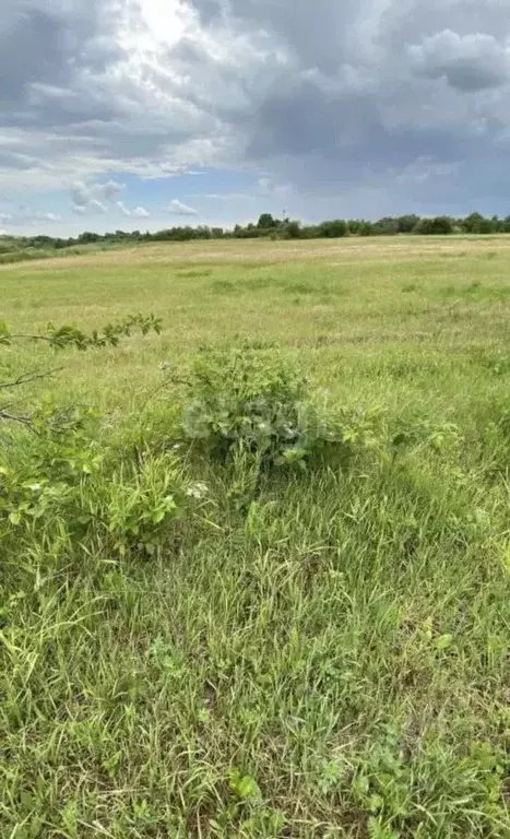 Участок в Белгородская область, Белгородский район, Беломестненское ... - Фото 1