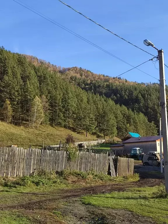 Участок в Алтай, Чемальский район, Элекмонарское с/пос, с. Элекмонар  ... - Фото 2