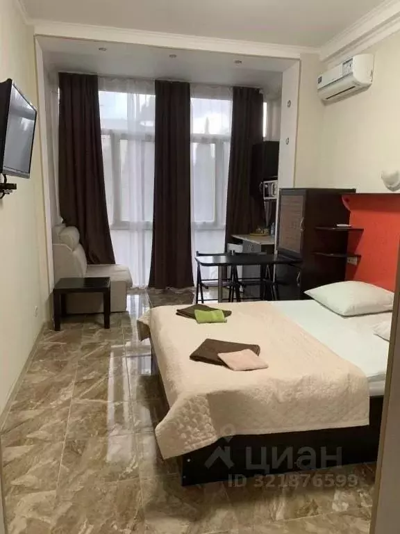 1-к кв. Краснодарский край, Сочи Курортный просп., 75к1 (26.0 м) - Фото 1