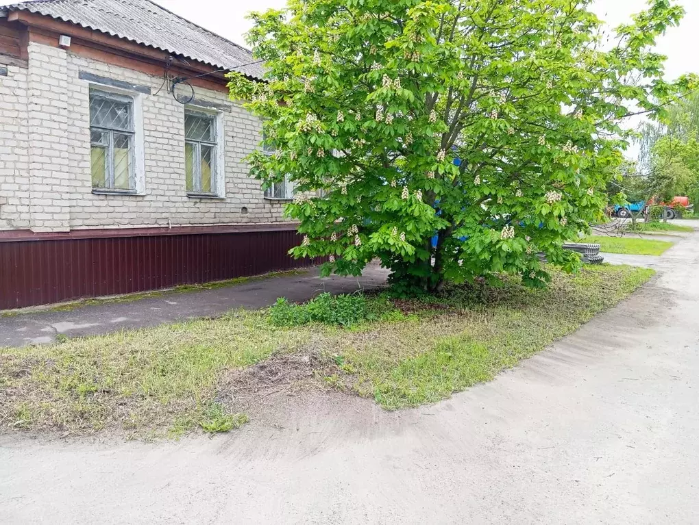 Помещение свободного назначения в Воронежская область, Павловск 1 Мая ... - Фото 0