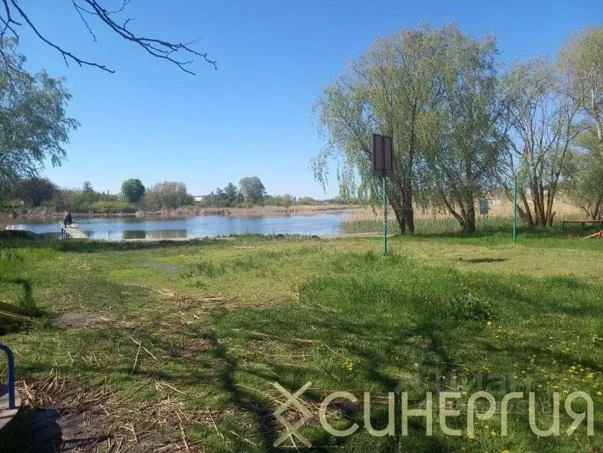Участок в Ростовская область, Азовский район, Елизаветинское с/пос, ... - Фото 1