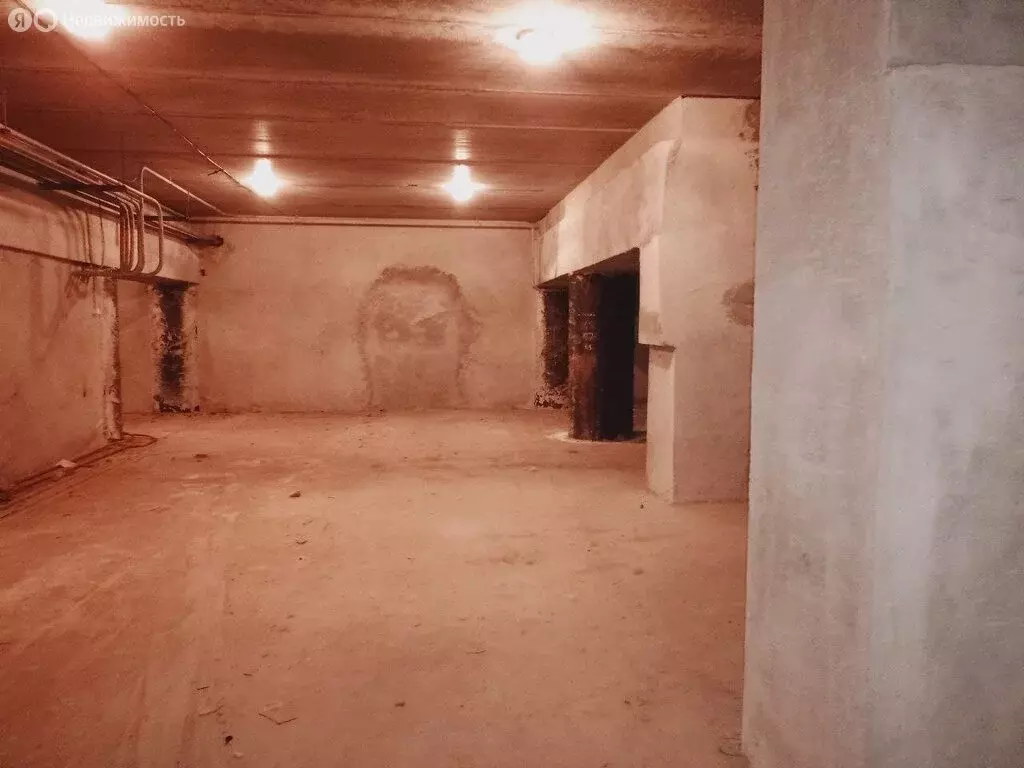 Помещение свободного назначения (317 м) - Фото 2