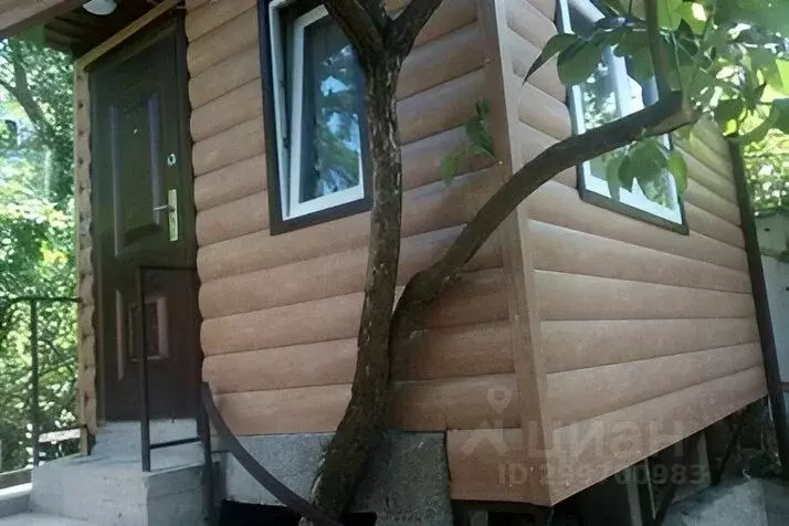 Дом в Краснодарский край, Сочи Лазаревское жилрайон, ул. Родниковая, ... - Фото 0