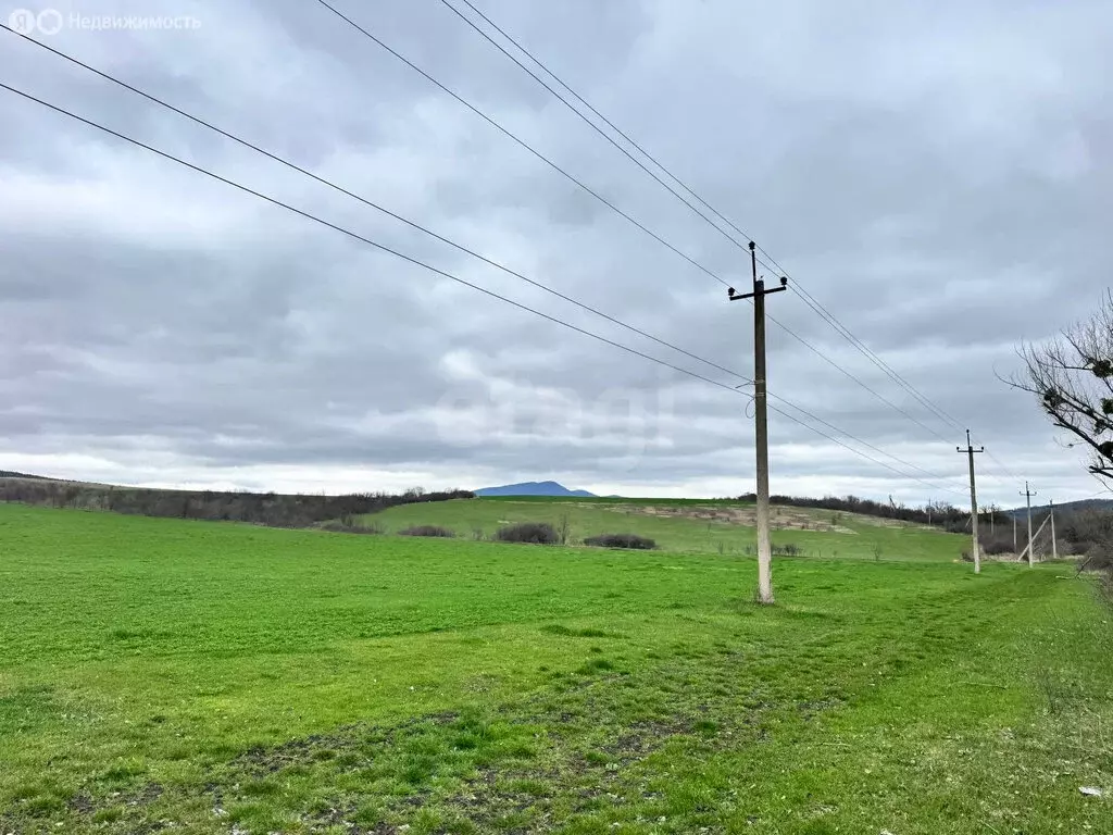Участок в Белогорский район, Земляничненское сельское поселение, село ... - Фото 2