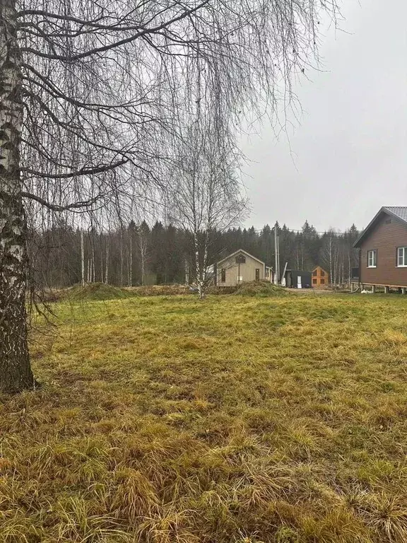 Участок в Московская область, Дмитровский муниципальный округ, ... - Фото 2