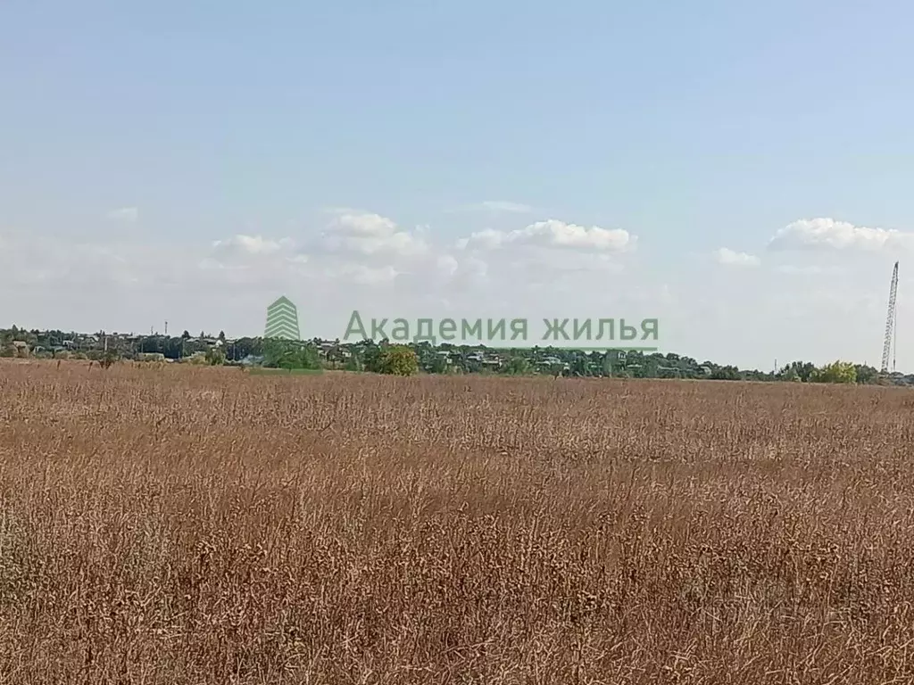Участок в Саратовская область, Энгельсский район, Красноярское ... - Фото 1