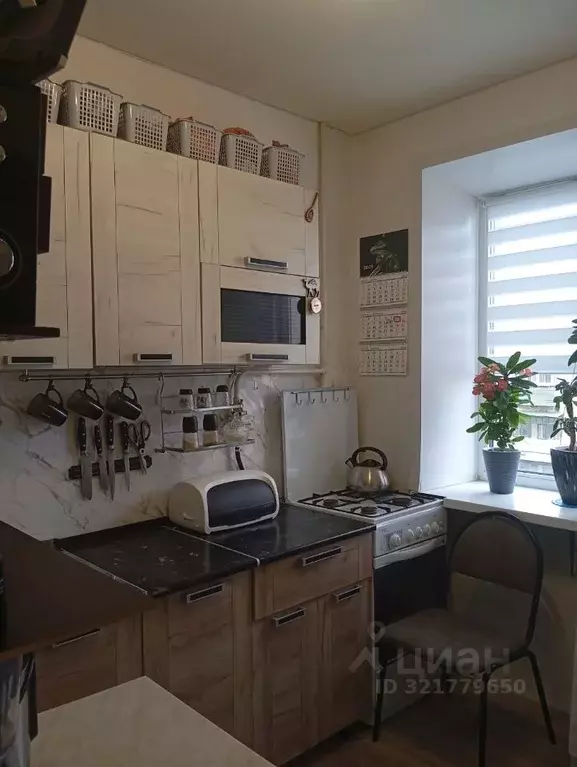 2-к кв. Курганская область, Курган ул. Коли Мяготина, 136 (41.7 м) - Фото 1