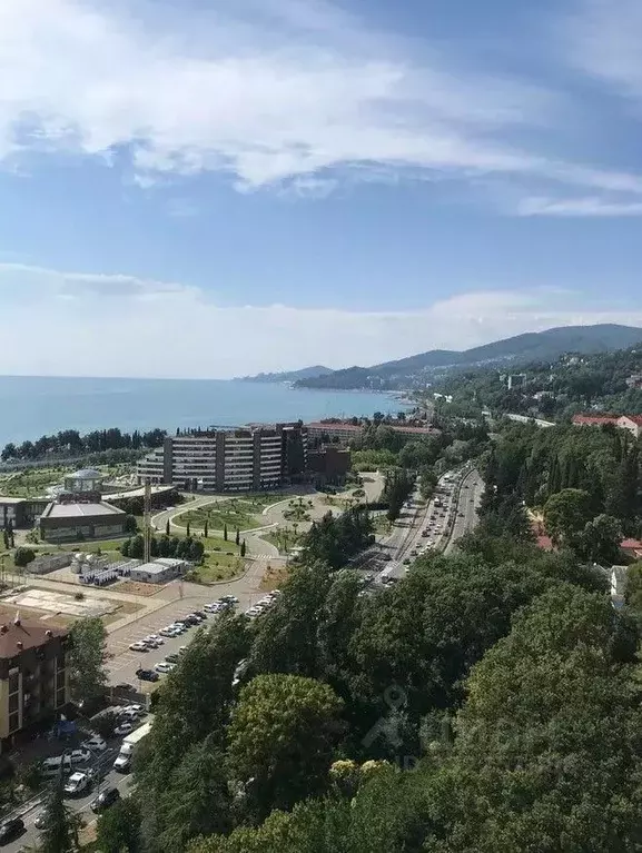 1-к кв. Краснодарский край, Сочи Адлер жилрайон, ул. Ленина, 298Бк1 ... - Фото 2
