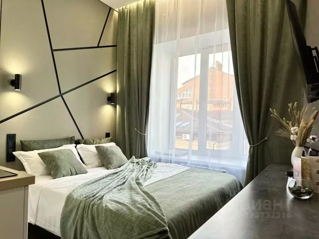 1-к кв. Татарстан, Казань ул. Карла Маркса, 5 (20.0 м) - Фото 1