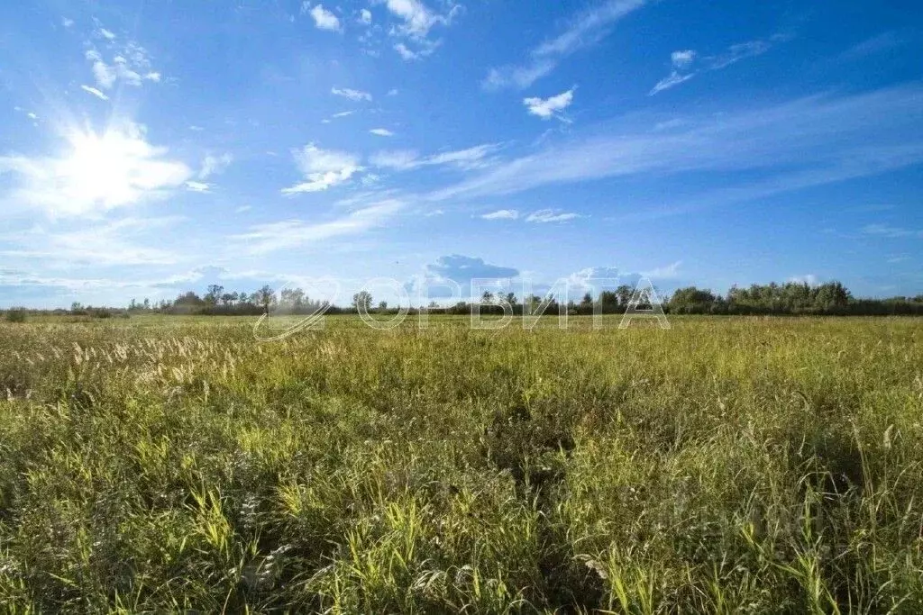 Участок в Тюменская область, Тюменский муниципальный округ, д. ... - Фото 2