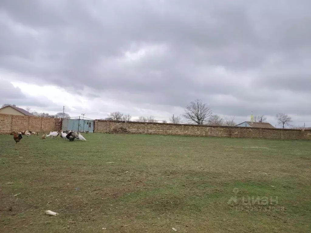 Участок в Крым, Сакский район, Митяевское с/пос, с. Журавли ул. 8 ... - Фото 2