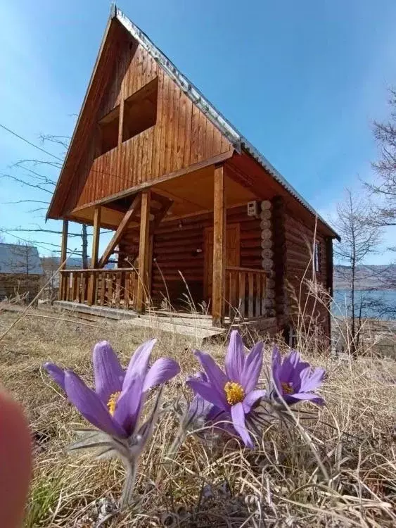 Дом в Иркутская область, Ольхонский район, Шара-Тоготское ... - Фото 2