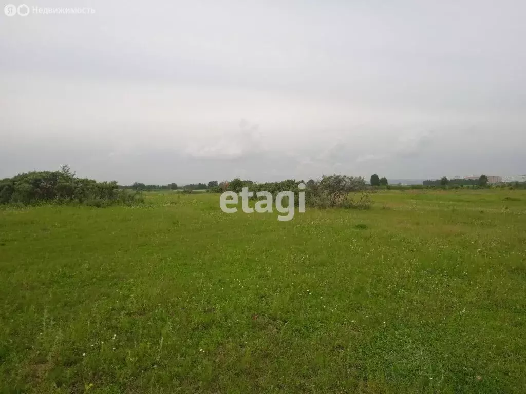 Участок в Красноярский край, Емельяновский муниципальный округ, СНТ ... - Фото 2