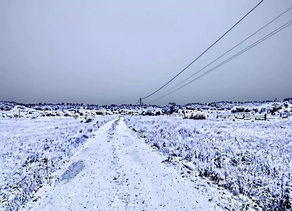 Участок в Амурская область, Серышевский муниципальный округ, с. ... - Фото 2