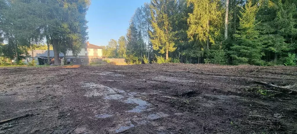 Продается участок в д. Сазонки - Фото 2