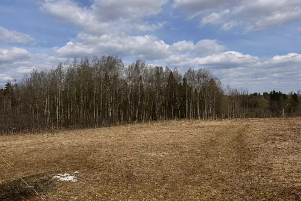 Участок в Пермский край, Нытвенский муниципальный округ, Нива-2 СНТ 94 ... - Фото 1