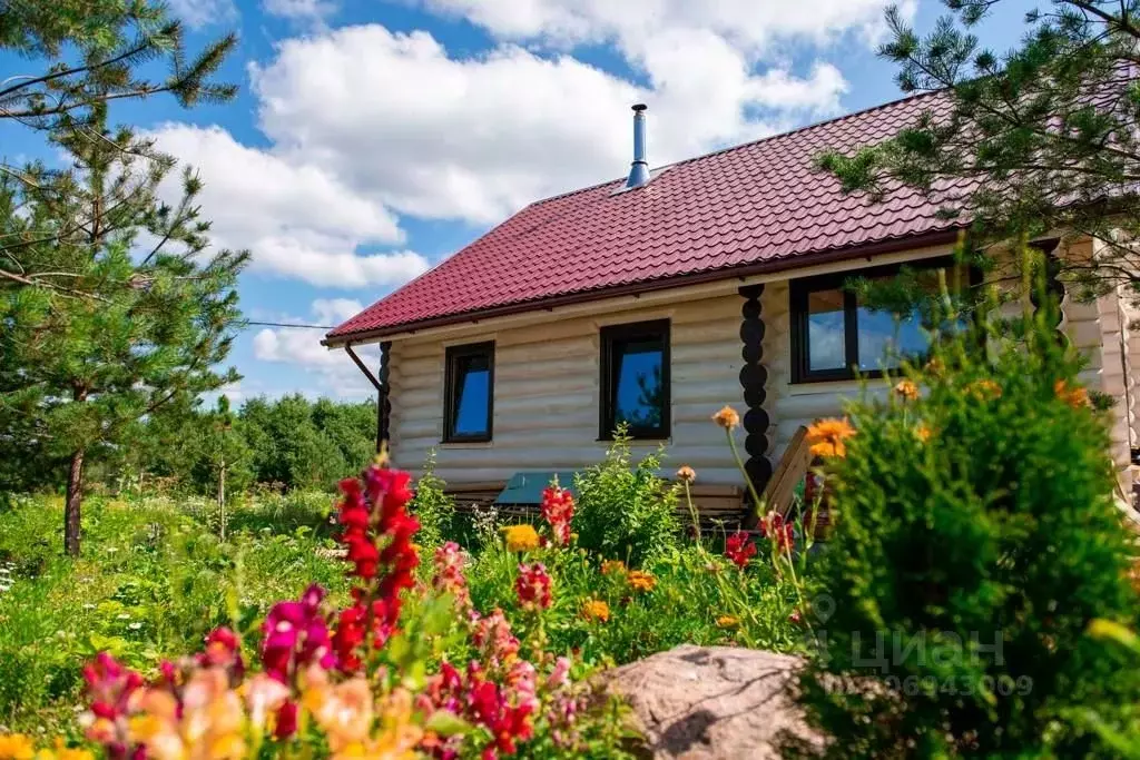 Участок в Ленинградская область, Выборгский район, Приморское ... - Фото 1