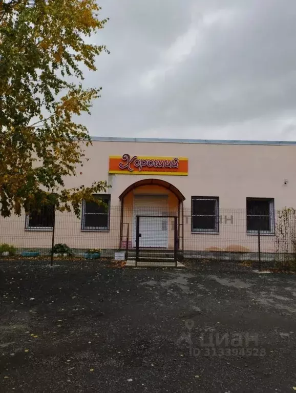 Участок в Челябинская область, Копейск Березка-4 СНТ,  (8.6 сот.) - Фото 1