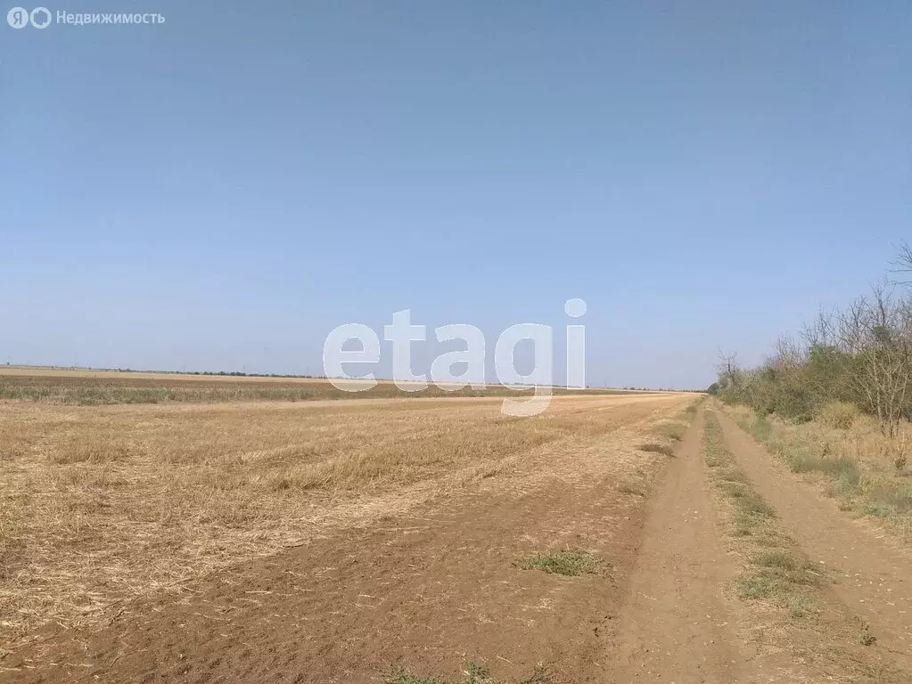 Участок в Сакский район, село Крайнее (200 м) - Фото 0