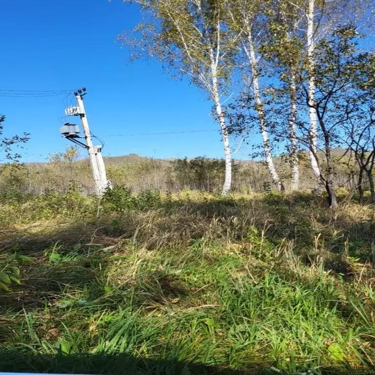Участок в Алтай, Майминский район, Соузгинское с/пос, пос. Черемшанка ... - Фото 2