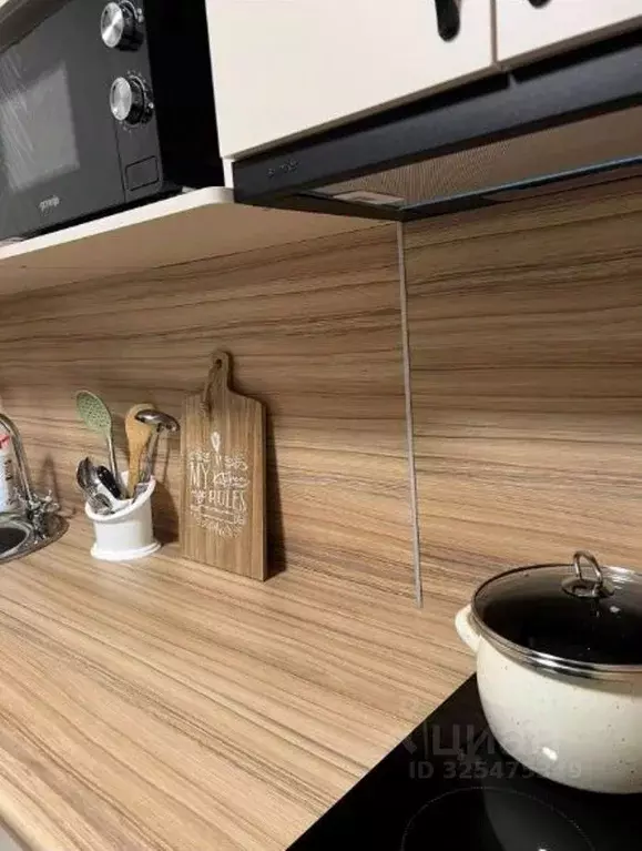 Студия Белгородская область, Белгород ул. Попова, 31 (31.0 м) - Фото 2