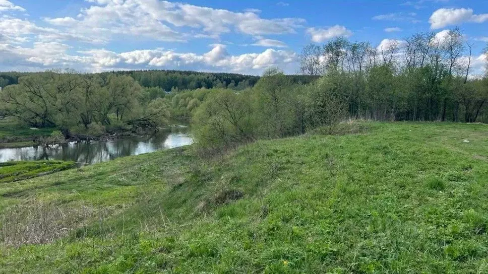 Участок в Московская область, Истра городской округ, Лес и Река кп 81 ... - Фото 0