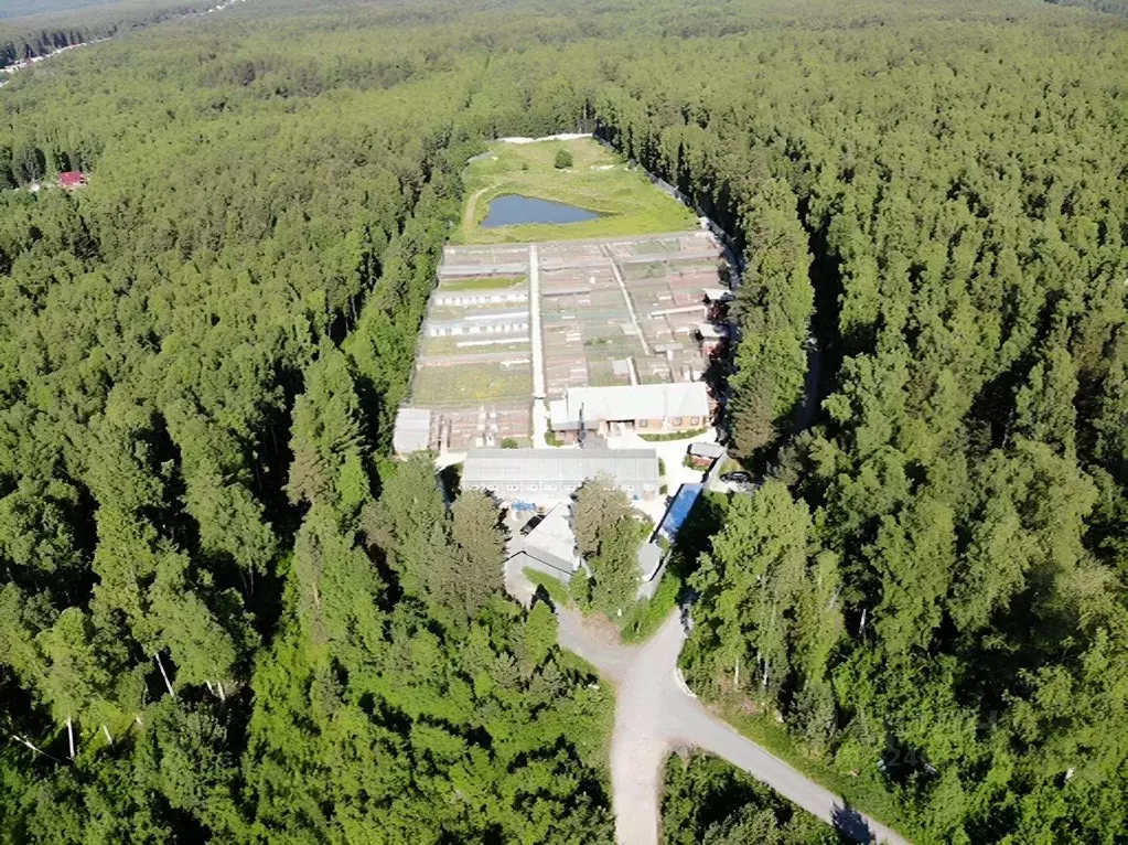 Производственное помещение в Свердловская область, Первоуральск ... - Фото 2