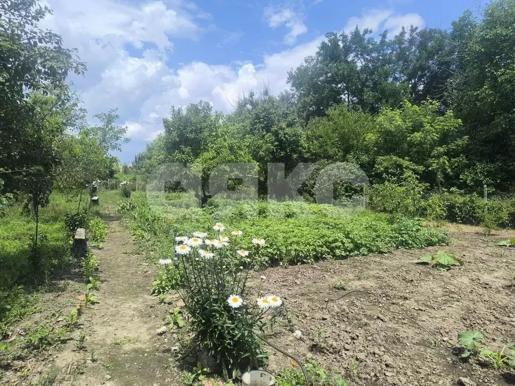 Участок в Краснодарский край, Армавир городской округ, Красная Поляна ... - Фото 2