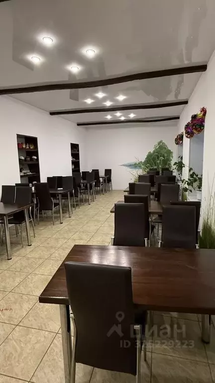 Помещение свободного назначения в Вологодская область, Вологда ... - Фото 1