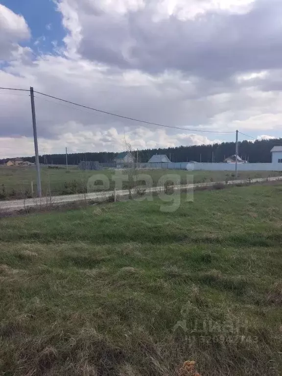 Участок в Тюменская область, Тюменский район, д. Криводанова, Лес. ... - Фото 1