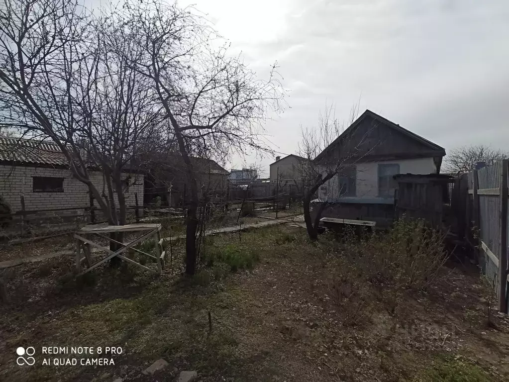 Дом в Волгоградская область, Волгоград Черноярская ул. (55 м) - Фото 1