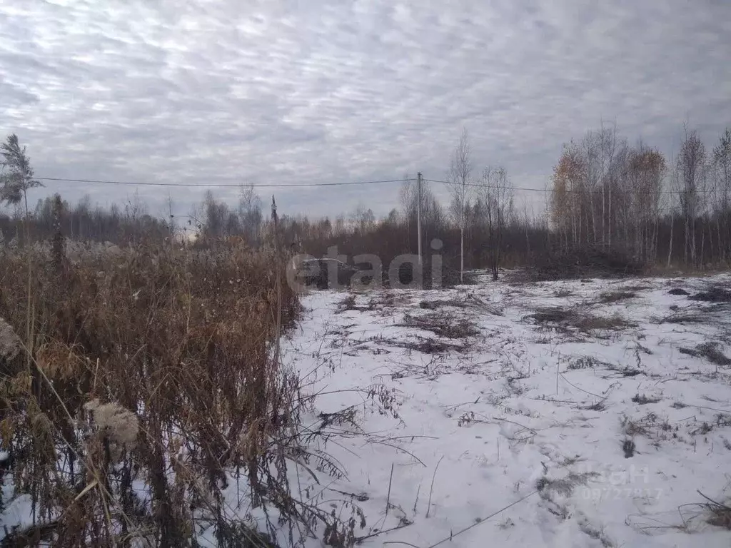 Участок в Тюменская область, Тюмень Светлое садовое товарищество,  ... - Фото 0