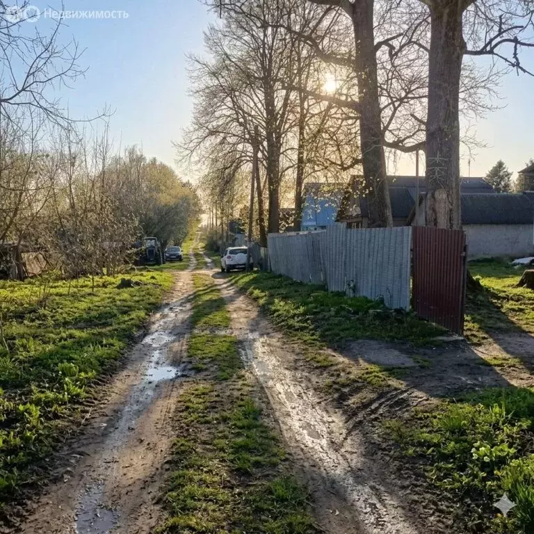 Дом в деревня Монасеино, Центральная улица, 48 (35 м) - Фото 2