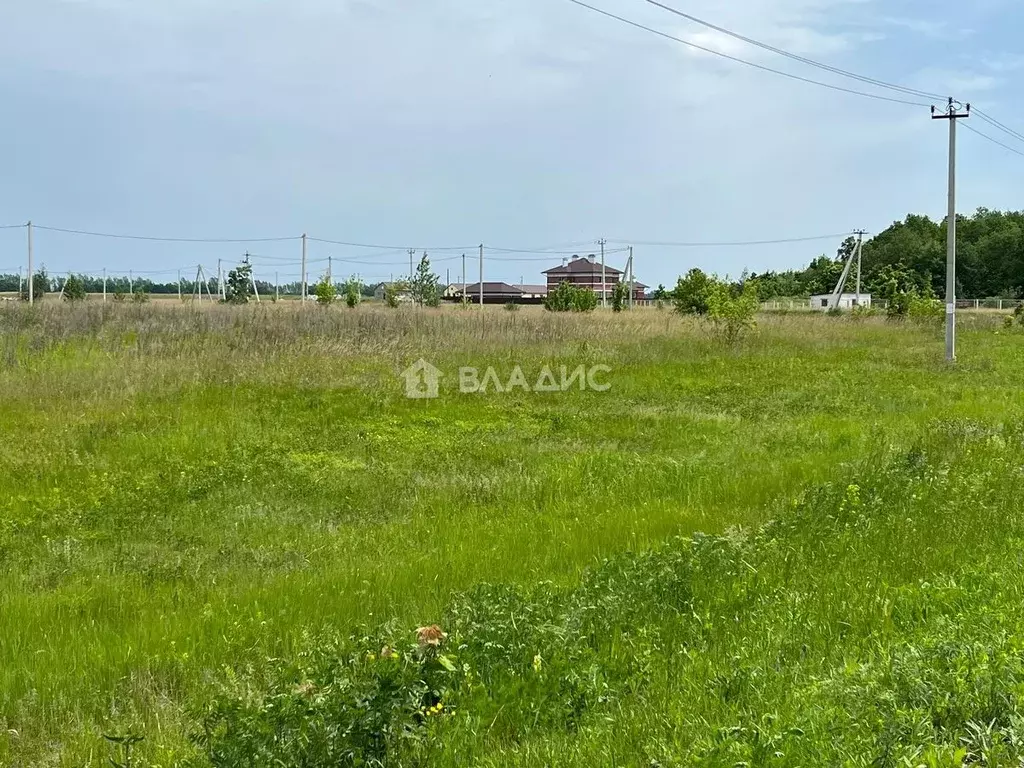 Участок в Пензенская область, Колышлей рп  (10.07 сот.) - Фото 0