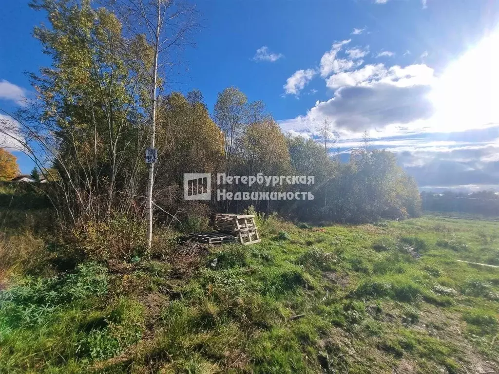 Участок в Ленинградская область, Всеволожский район, Лесколовское ... - Фото 0