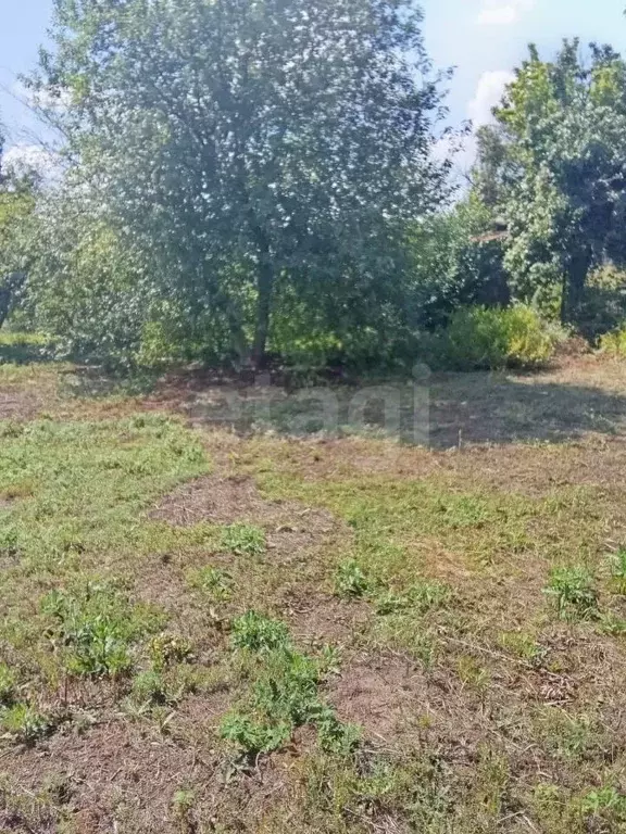 Участок в Оренбургская область, Оренбургский район, Нежинский ... - Фото 1