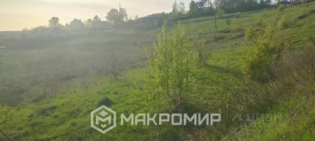 Участок в Орловская область, Орловский район, д. Кондырева  (50.0 ... - Фото 1