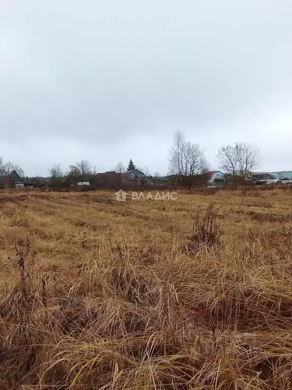 Участок в Московская область, Павлово-Посадский городской округ, д. ... - Фото 2