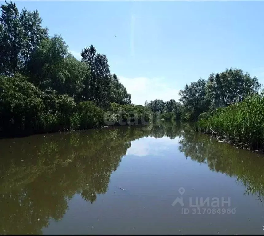 Участок в Ростовская область, Аксайский район, Старочеркасская ст-ца ... - Фото 1