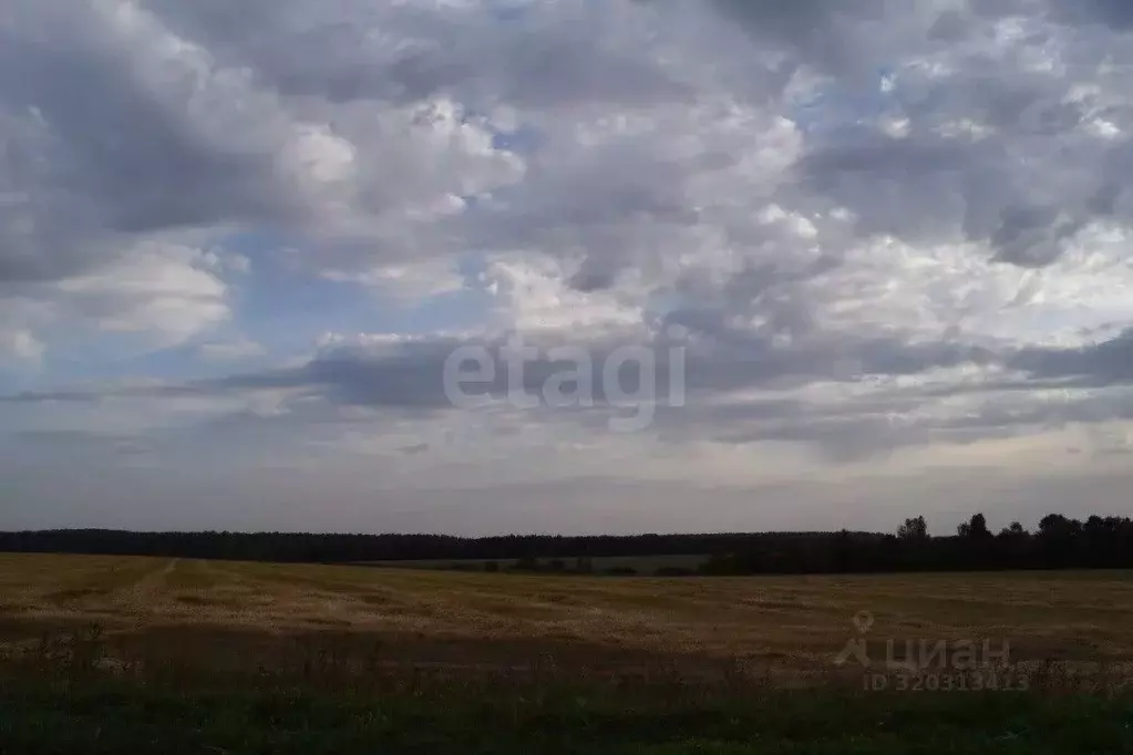 Участок в Калужская область, Дзержинский район, Жилетово с/пос, д. ... - Фото 2