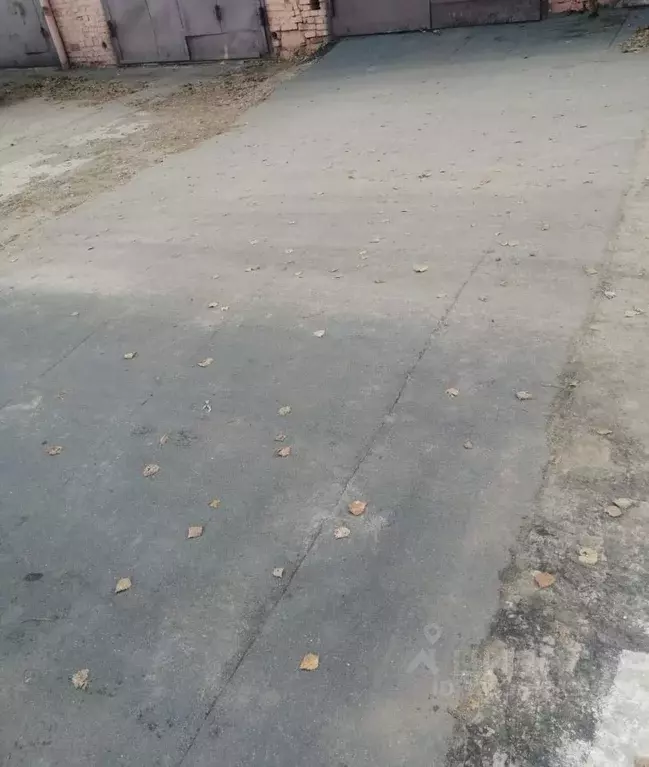 Гараж в Красноярский край, Красноярск Академгородок мкр, 16Д (24 м) - Фото 2