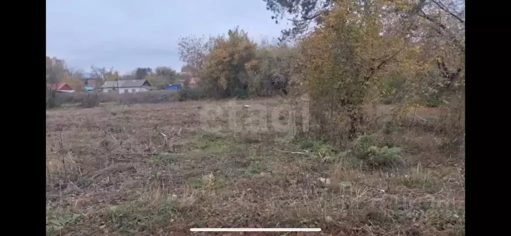 Участок в Кемеровская область, Ленинск-Кузнецкий Народная ул., 15 ... - Фото 2