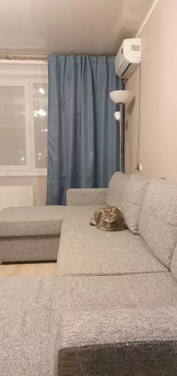 1-к кв. Самарская область, Тольятти Офицерская ул., 5 (43.0 м) - Фото 2