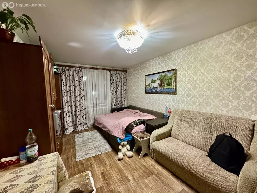 Квартира-студия: Рязань, 3-й Мопровский переулок, 2 (18 м) - Фото 2