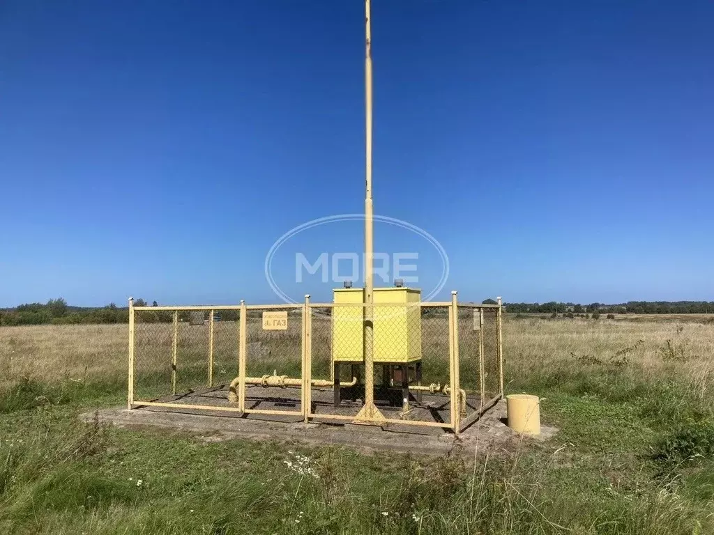 Участок в Калининградская область, Зеленоградский муниципальный округ, ... - Фото 2