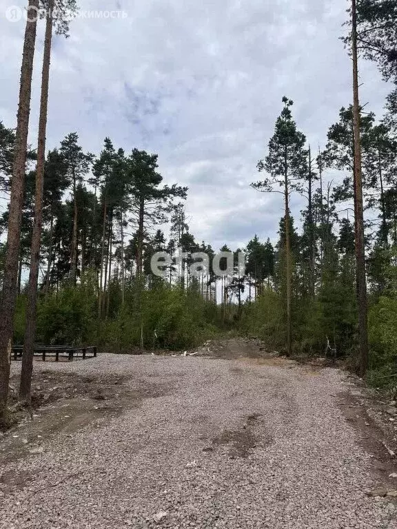 участок в всеволожск, улица мужества (6 м) - Фото 0