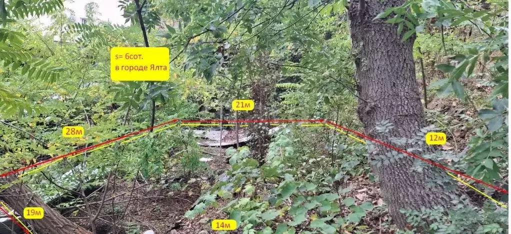Участок в Крым, Ялта ул. Горького (6.0 сот.) - Фото 1